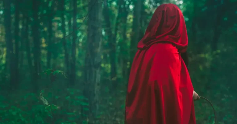 DIY Red Riding Hood Costume