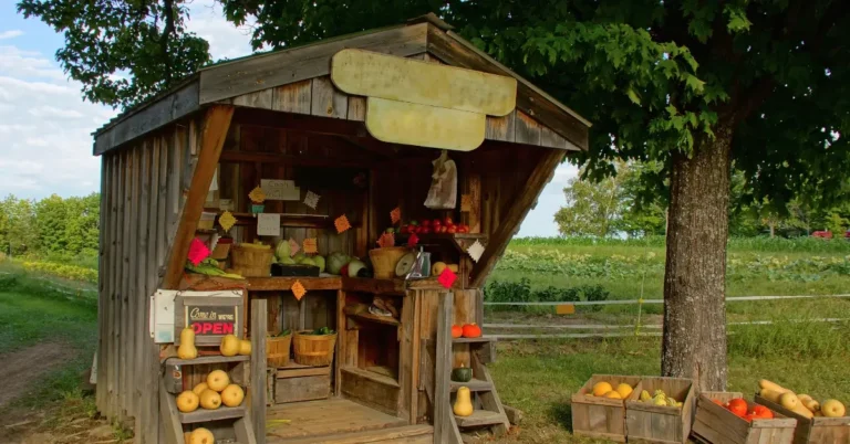 DIY Farm Stand: A Beginner's Guide to Building Your Own Produce Stand