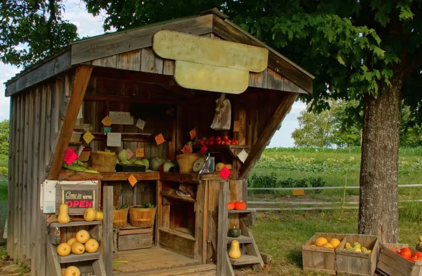 DIY Farm Stand: A Beginner’s Guide to Building Your Own Produce Stand